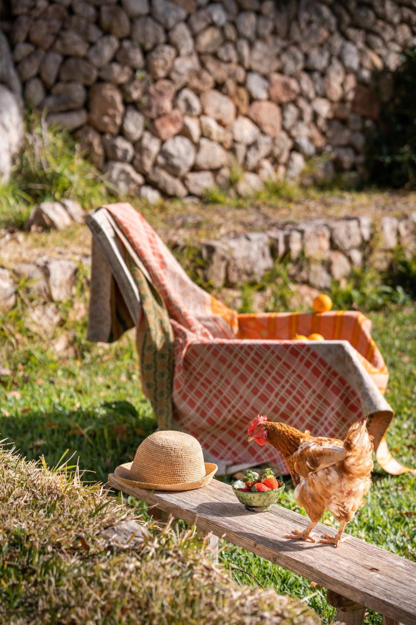 Agroturismo Son Viscos Valldemossa  Exteriér fotografie