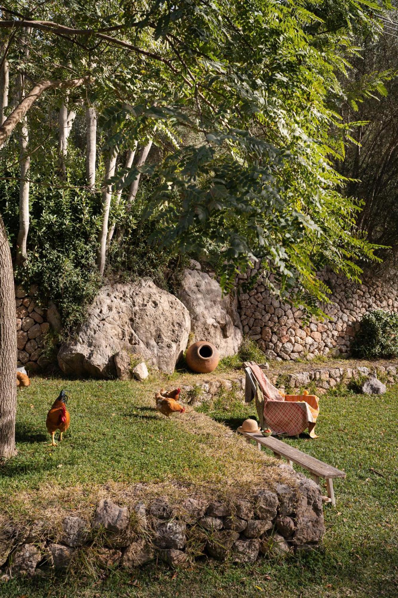 Agroturismo Son Viscos Valldemossa  Exteriér fotografie